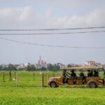 Countryside Adventure Private Tour by Electric Car - Why Travelers Love This Tour