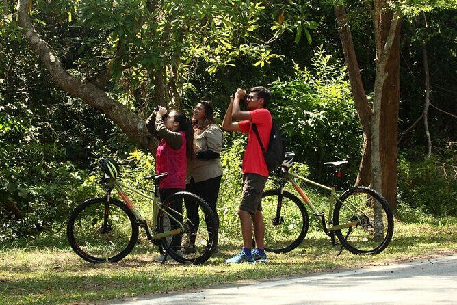 Countryside Biking Tour in Langkawi - Authentic Experiences and Highlights