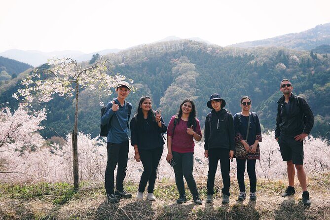 Countryside Walking & Mountain Hiking in Organic Town Near Tokyo - Practical Details & Tips for Participants