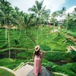 Cretya Ubud and Monkey Forest Sanctuary Tours - Tegenungan Waterfall: Nature’s Curtain Call