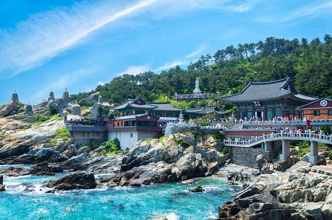 Cruise Layover Busan Highlight Tour with Sea temple and Gamcheon - Authentic Insights from Travelers