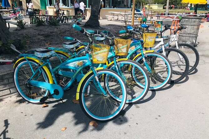 Cruiser Bike Rental at Crandon Park - A Detailed Look at the Cruiser Bike Experience at Crandon Park
