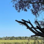 Crystal River Boat Tour - Detailed Breakdown of the Itinerary