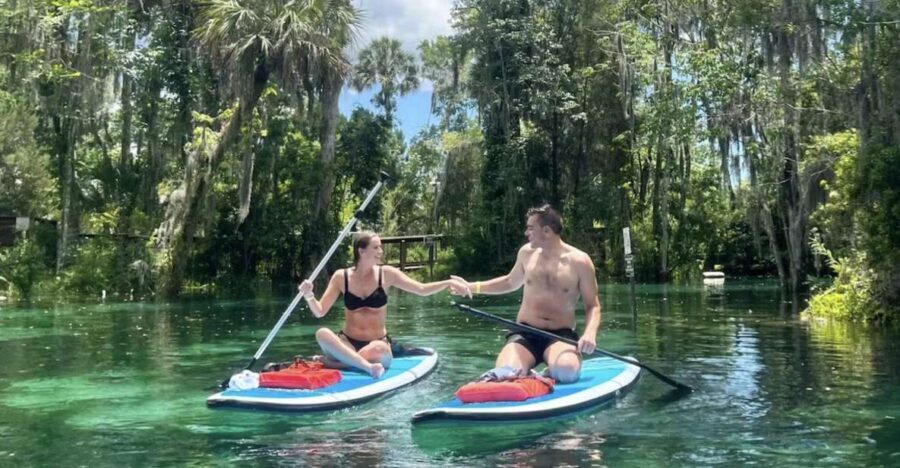 Crystal River: Paddle Board Rental - The Practical Side: What’s Included and What’s Not