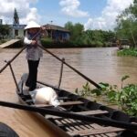 Cu Chi Tunnel & Mekong Delta Tour - Logistics and Experience Quality