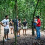 Cu Chi Tunnels Half-Day Tour: Vietnam War Underground Network - Exploring the Cu Chi Tunnels: An In-Depth Review