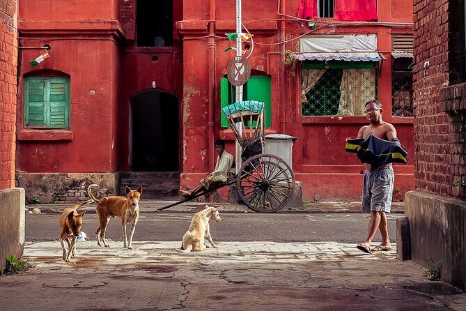 Cultural Confluence of Kolkata - Culture Kaleidoscope Tour - The Experience: What Sets It Apart?