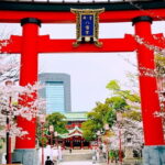 Cultural Temple Tour with a Real Local in Calm East Tokyo - Why This Tour Stands Out