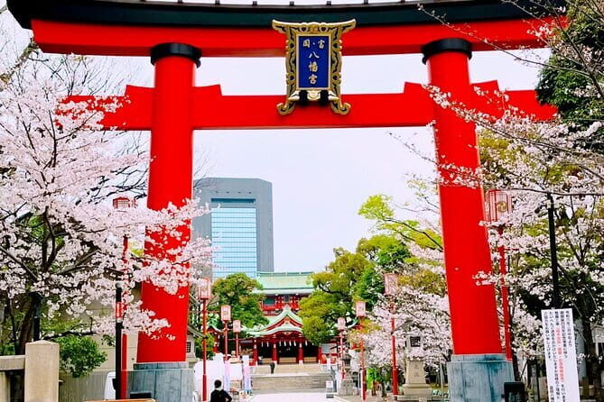 Cultural Temple Tour with a Real Local in Calm East Tokyo - Why This Tour Stands Out