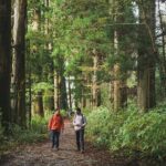 Custom Private Tour in Hakone with a Certified Local Guide - Final Thoughts