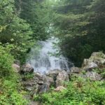 Custom Tour In Ketchikan - Final Thoughts: Who Is This Tour Perfect For?