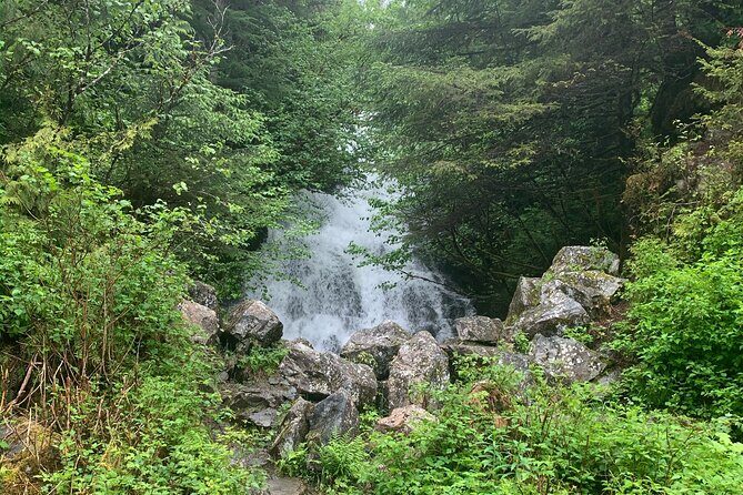 Custom Tour In Ketchikan - Final Thoughts: Who Is This Tour Perfect For?