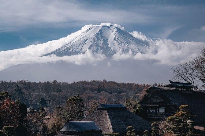 Customizable Private Tour in Mt Fuji from Tokyo by Car or Van - Who Should Book This Tour?
