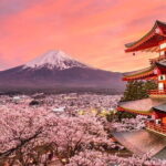 Customizable Private Tour in Mt. Fuji with Private Driver - Who Is This Tour Best For?