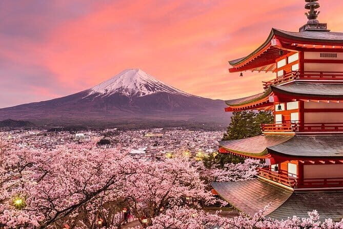 Customizable Private Tour in Mt. Fuji with Private Driver - Who Is This Tour Best For?