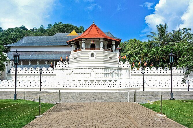 Customized 11-Day Flexible Sri Lanka Tour with Private Car - Who Is This Tour Best For?