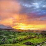 Customized Private Day Trip: Create your own tour itinerary - Exploring Bali on Your Own Terms: The Itinerary in Detail