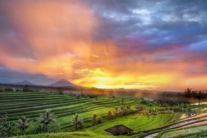 Customized Private Day Trip: Create your own tour itinerary - Exploring Bali on Your Own Terms: The Itinerary in Detail