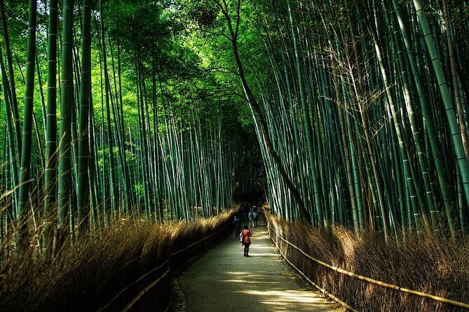Customized Private Kyoto Tour by a local tour guide - The Sum Up: Is This Tour Worth It?