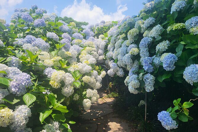 Customized private tour in Jeju island - Final Thoughts