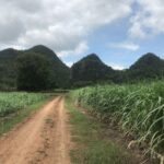 Cycling in rural Kanchanaburi area - Who Will Love This Experience?