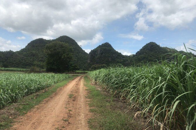 Cycling in rural Kanchanaburi area - Who Will Love This Experience?