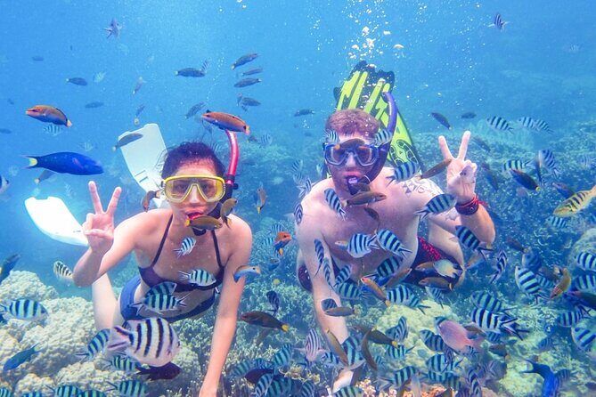 Da Nang/Hoi An: Cham Island Snorkeling, Sunbathing, Nice Beaches - Authentic Experiences and Hidden Gems