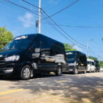 Da Nang - Hue: Daily Limousine Bus - Comfort and Amenities