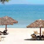 Da Nang Shore Excursions from Chan May Port - Practical Details and Tips for Booking