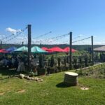 Dahlonega Wine & Dine Private Tour from Atlanta - What’s Included & What’s Not