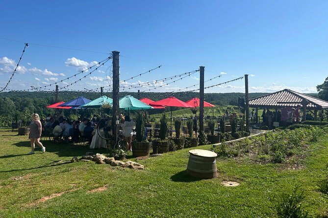 Dahlonega Wine & Dine Private Tour from Atlanta - What’s Included & What’s Not