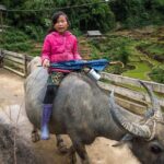 Daily Experience Authentic TaPhin Valley &Traditional Herbal bath - Final Thoughts