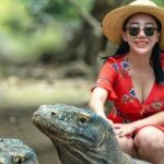 Daily Trip Highlight Komodo Archipelago by Speed Boat - What’s Included & Whats Not?