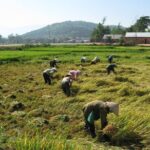 Dalat - Central Highland - Nha Trang - FAQ