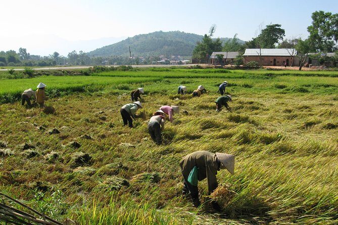 Dalat - Central Highland - Nha Trang - FAQ