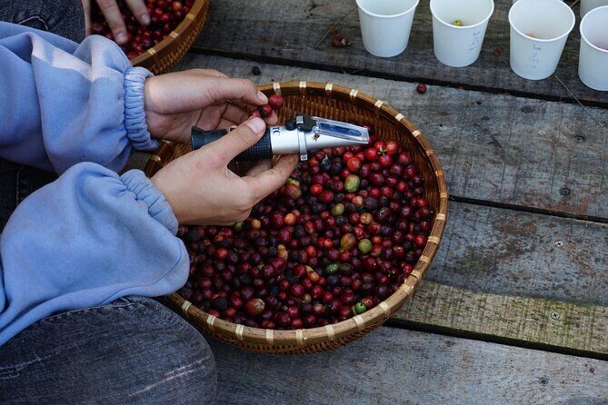 Dalat's countryside|Coffee Plantations Tour beyond Elephant falls - FAQ