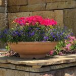 Dallas Arboretum and Botanical Gardens Tour - Frequently Asked Questions
