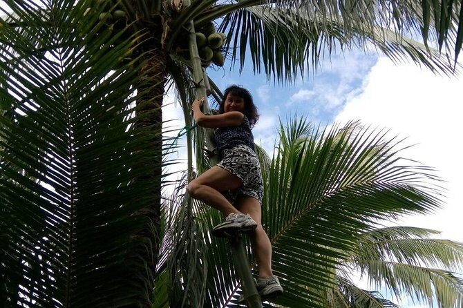 Damnoen Saduak Floating Market Small Group Tour - Who Should Consider This Tour?