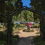 Davis Scavenger Hunt Walking Tour and Game - What You Can Expect from the Tour
