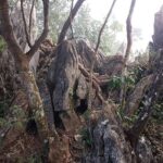 Day hike to Mount Daraitan with Tinipak River - What the Reviews Reveal About the Experience