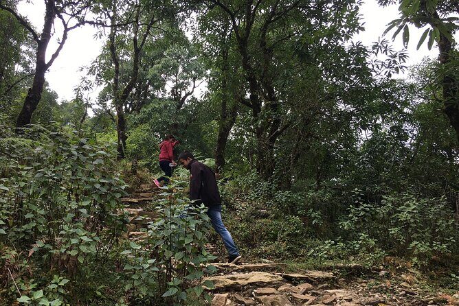 Day hiking to Dhampus - Astam Village - Why This Trip Offers Great Value