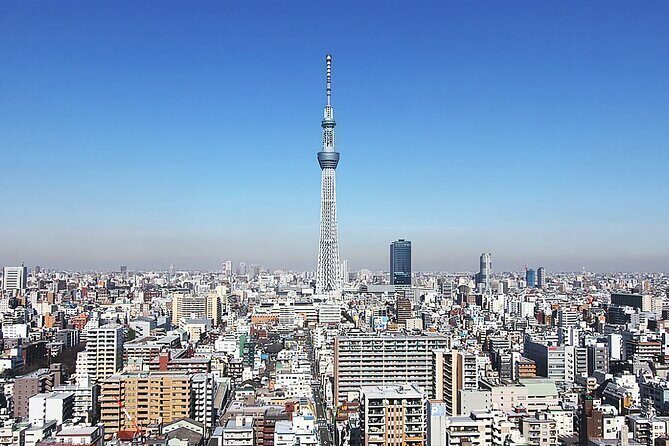 Day Private City Tour of Tokyo with English speaking driver - Who Is This Tour Best For?