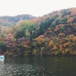 Day Tour to Gangchon Rail Bike Nami Island and Petite France - Nami Island: Korea’s Iconic Drama Shooting Location