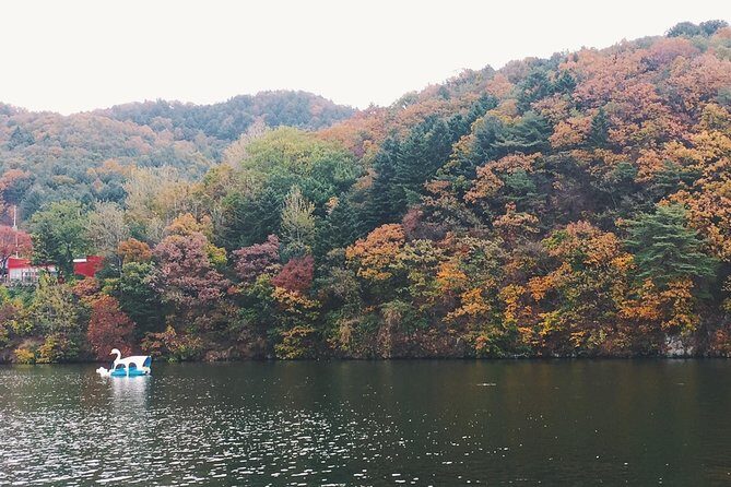 Day Tour to Gangchon Rail Bike Nami Island and Petite France - Nami Island: Korea’s Iconic Drama Shooting Location