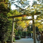 Day Tour to Miyazaki Takachiho Gorge & Shrine depart from Fukuoka - What We Think About the Value