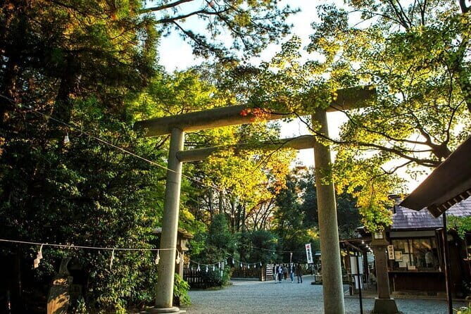 Day Tour to Miyazaki Takachiho Gorge & Shrine depart from Fukuoka - What We Think About the Value