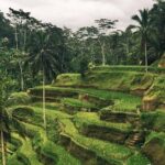 Day Tour with Sunrise and waterfall - The Sum Up: Is This Tour Worth It?