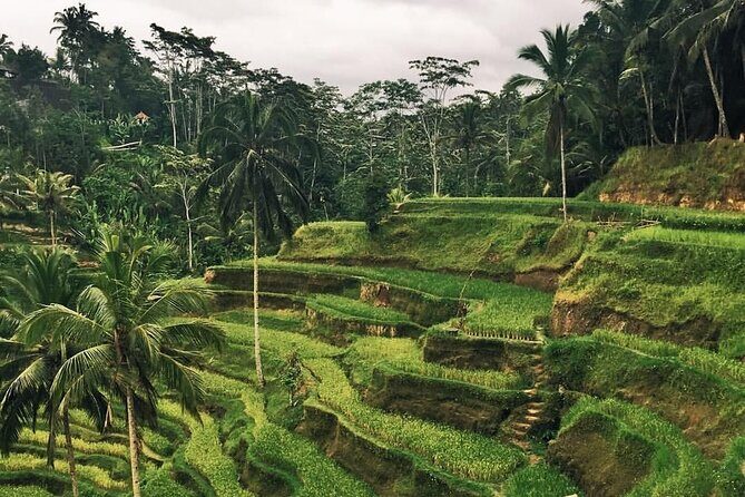 Day Tour with Sunrise and waterfall - The Sum Up: Is This Tour Worth It?