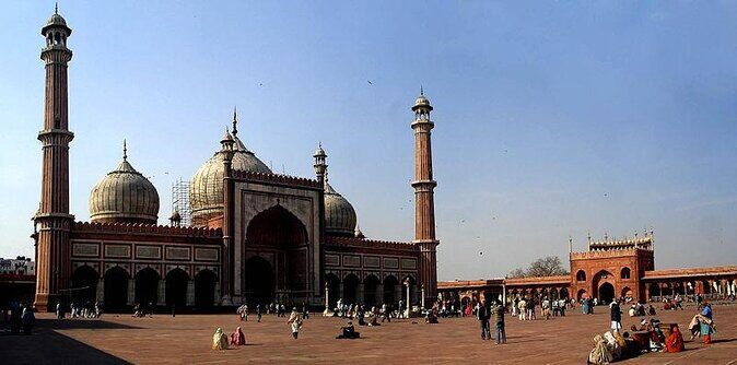 Day Tours Delhi-Full Day Private Old and New Delhi Tour - Final Thoughts