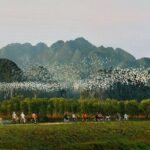 Day Trip in Ninh Binh Tour from Hanoi - Final Thoughts